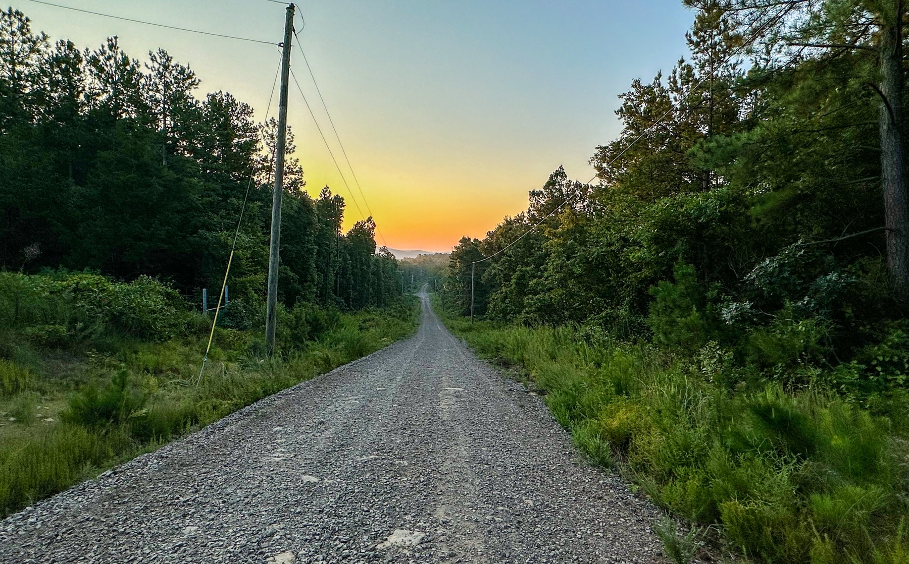 Image for Mena Timber Land | 4,636 Acres Auction