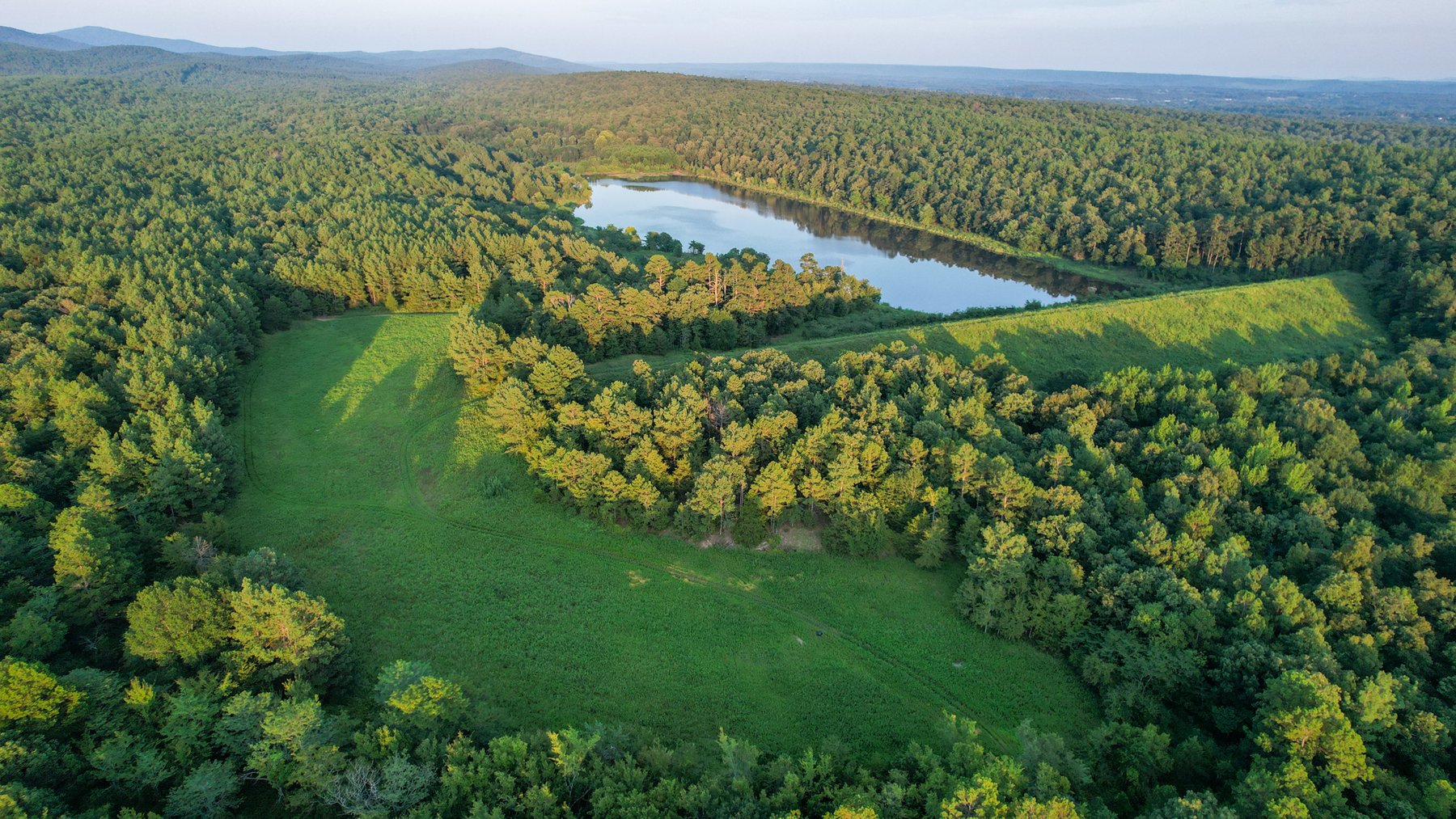 Image for Mena Timber Land | 4,636 Acres Auction
