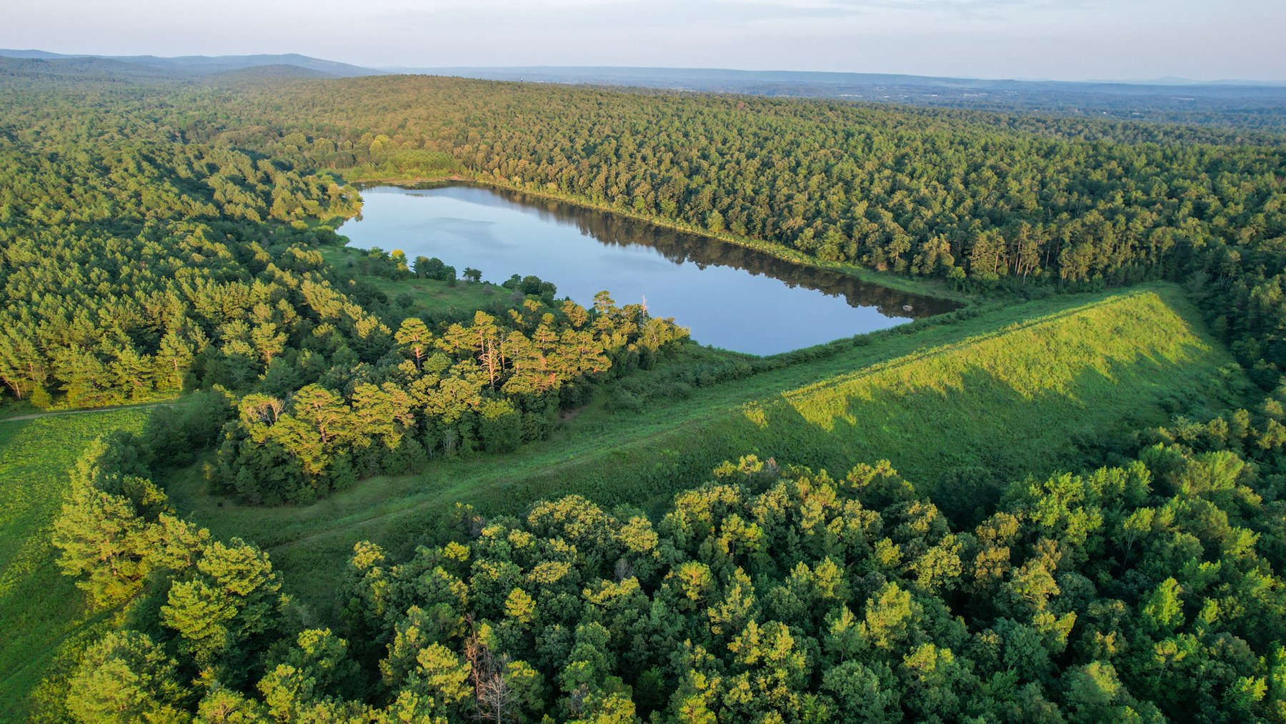 Image for Mena Timber Land | 4,636 Acres Auction