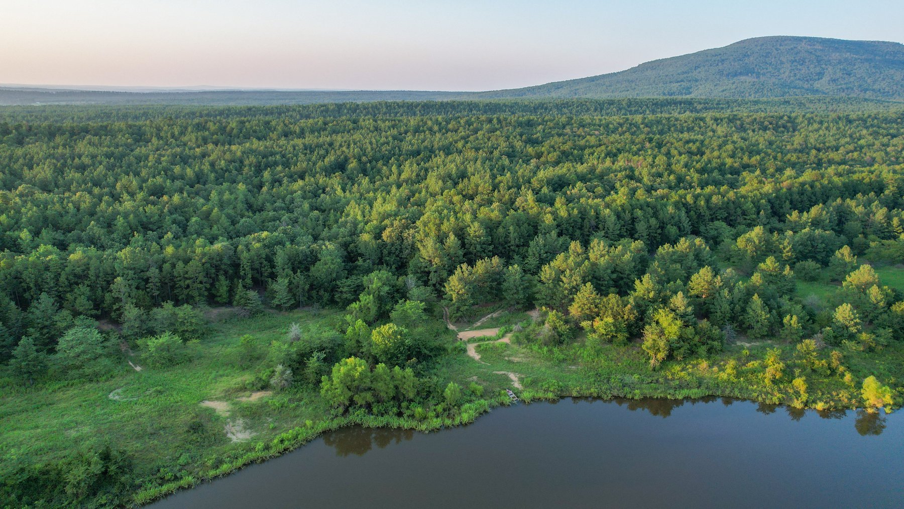 Image for Mena Timber Land | 4,636 Acres Auction