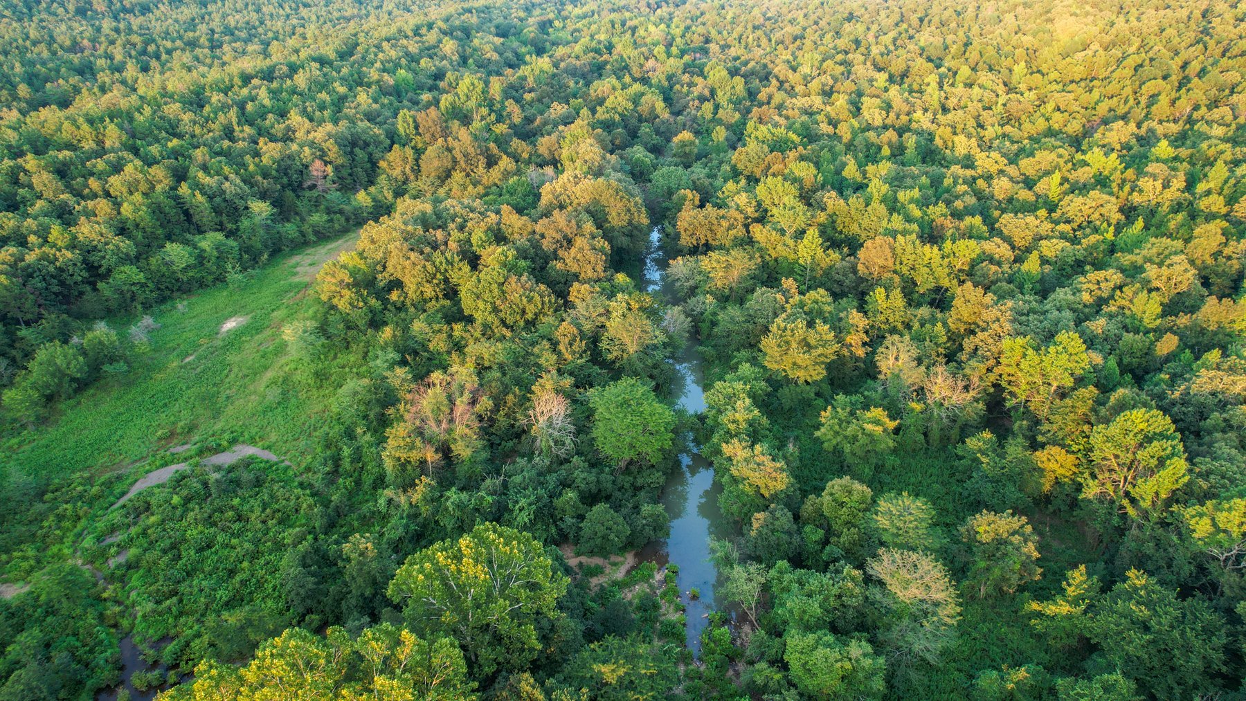 Image for Mena Timber Land | 4,636 Acres Auction