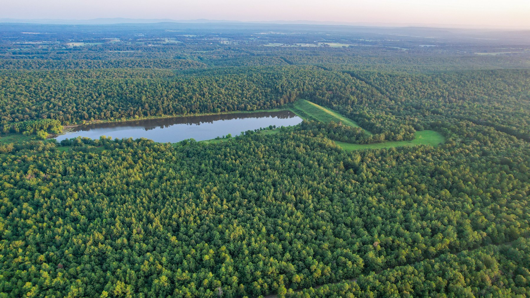 Image for Mena Timber Land | 4,636 Acres Auction
