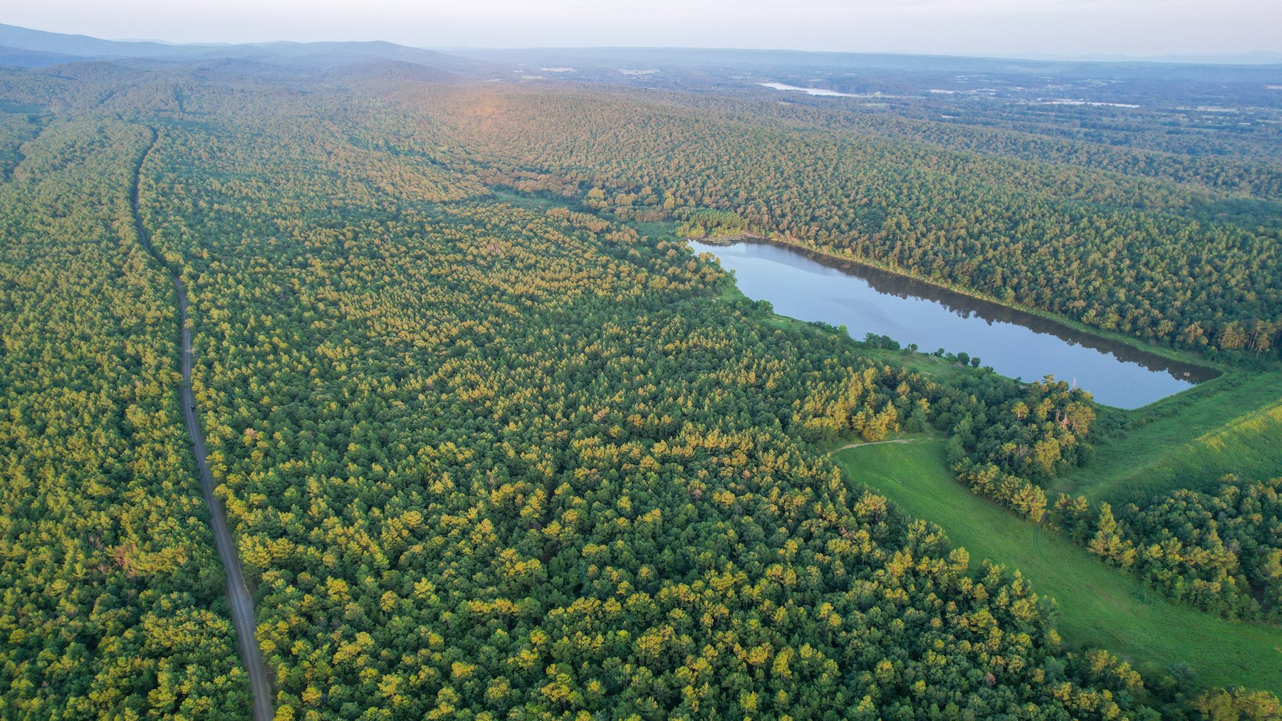 Image for Mena Timber Land | 4,636 Acres Auction