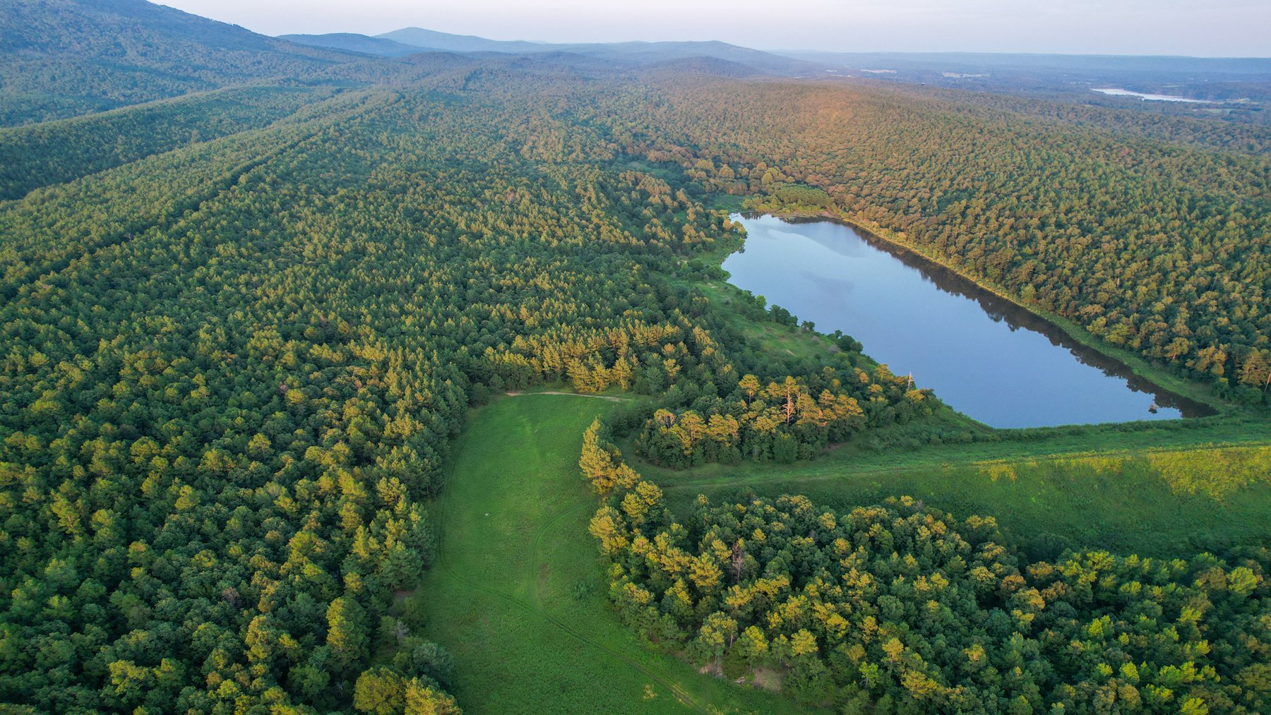 Image for Mena Timber Land | 4,636 Acres Auction