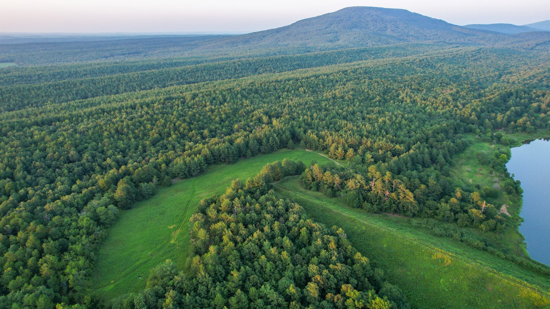 Image for Mena Timber Land | 4,636 Acres Auction