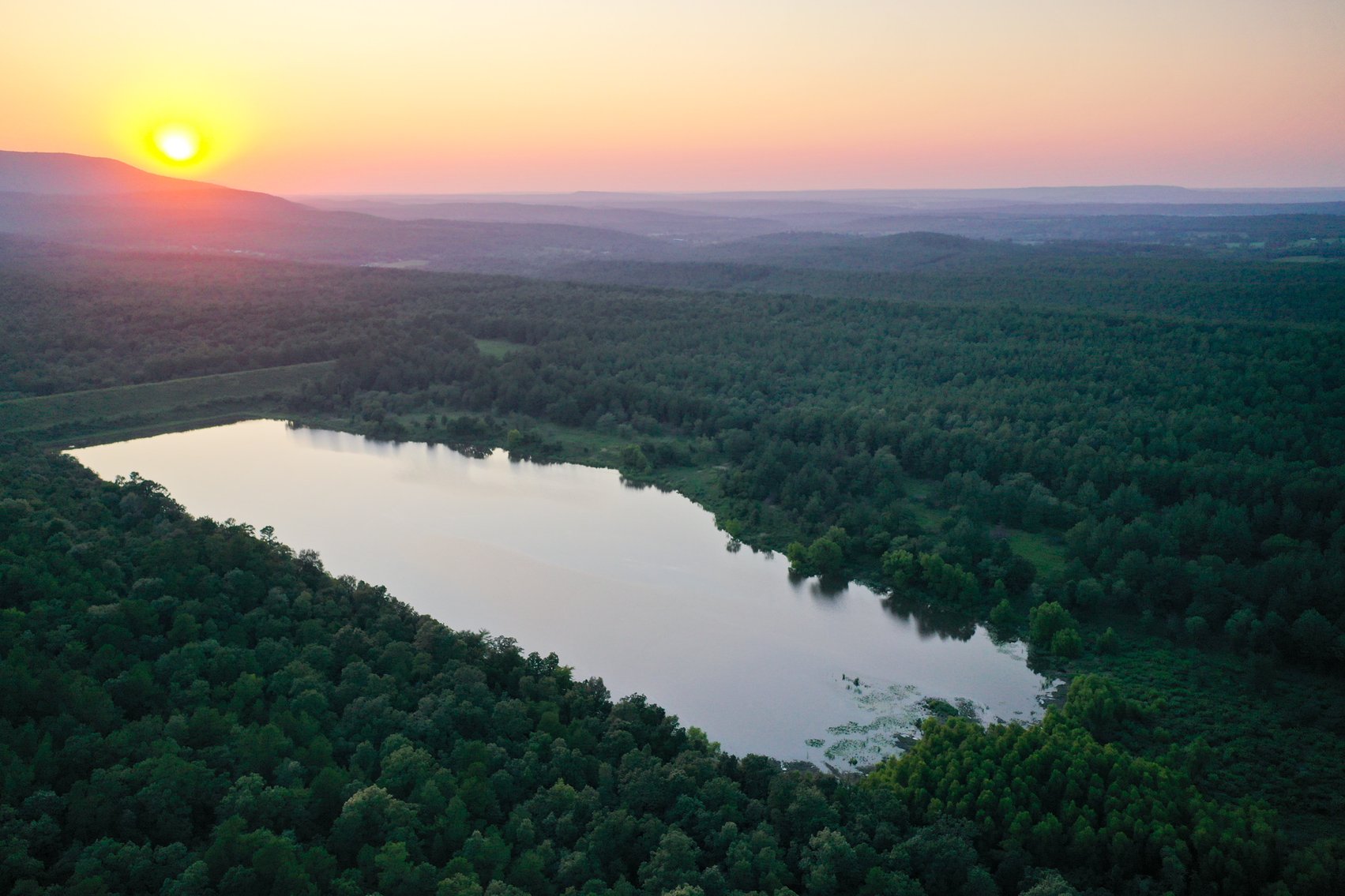 Image for Mena Timber Land | 4,636 Acres Auction