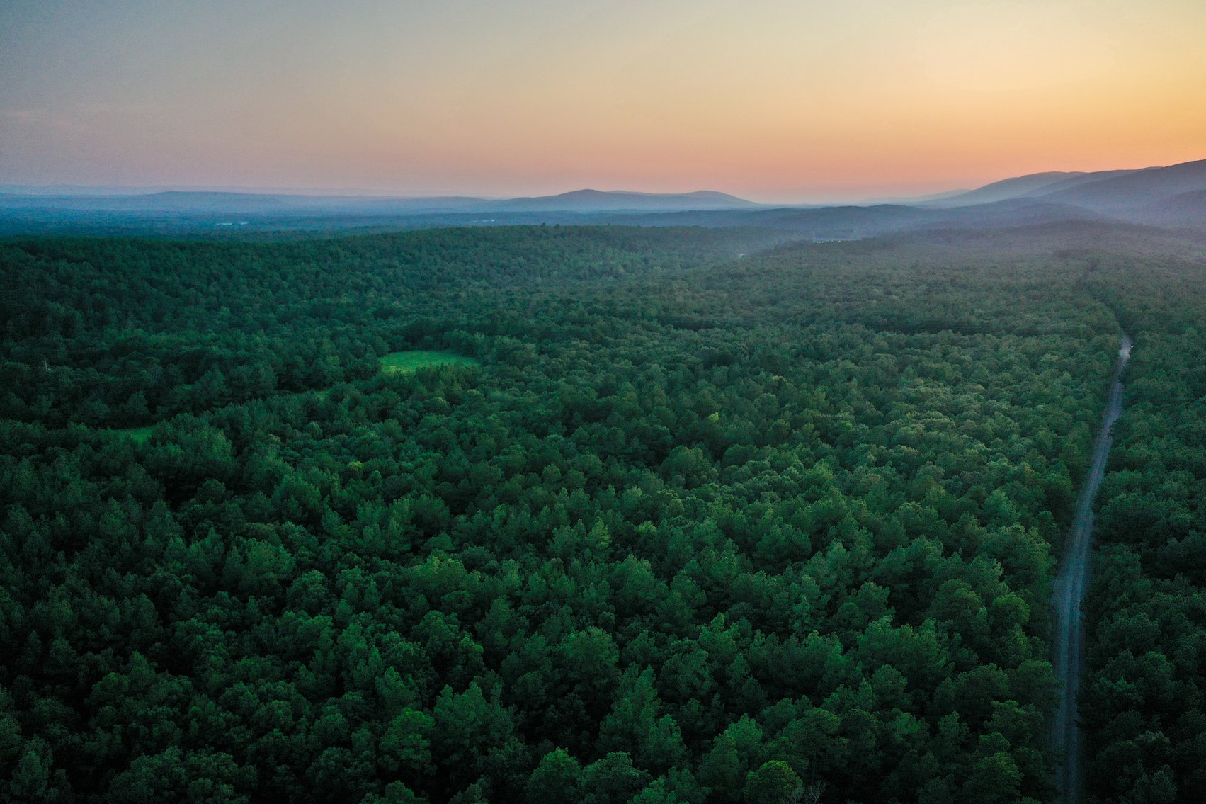 Image for Mena Timber Land | 4,636 Acres Auction