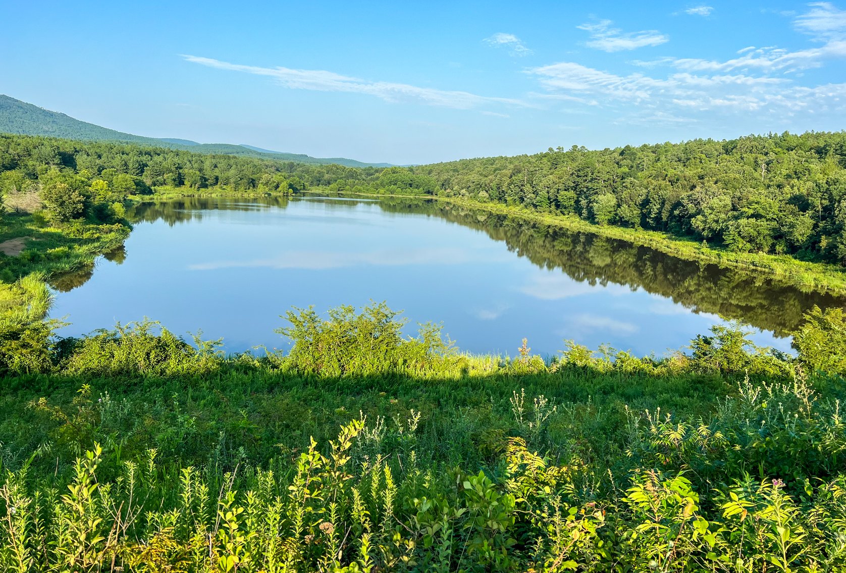 Image for Mena Timber Land | 4,636 Acres Auction