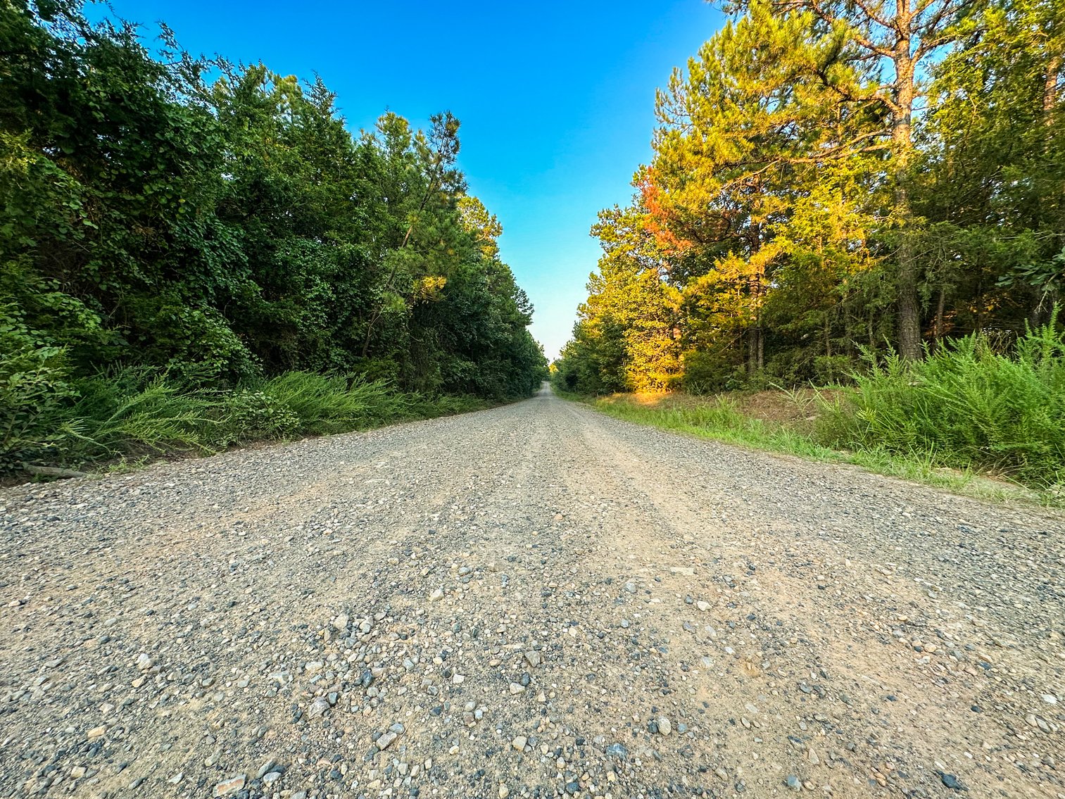 Image for Mena Timber Land | 4,636 Acres Auction