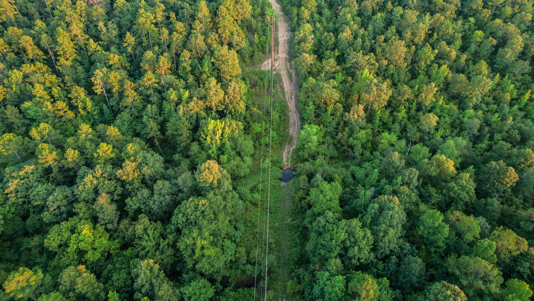 Image for Mena Timber Land | 4,636 Acres Auction