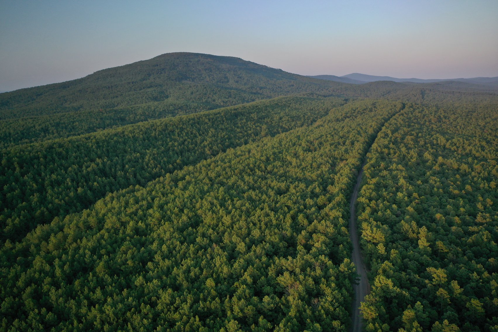 Image for Mena Timber Land | 4,636 Acres Auction