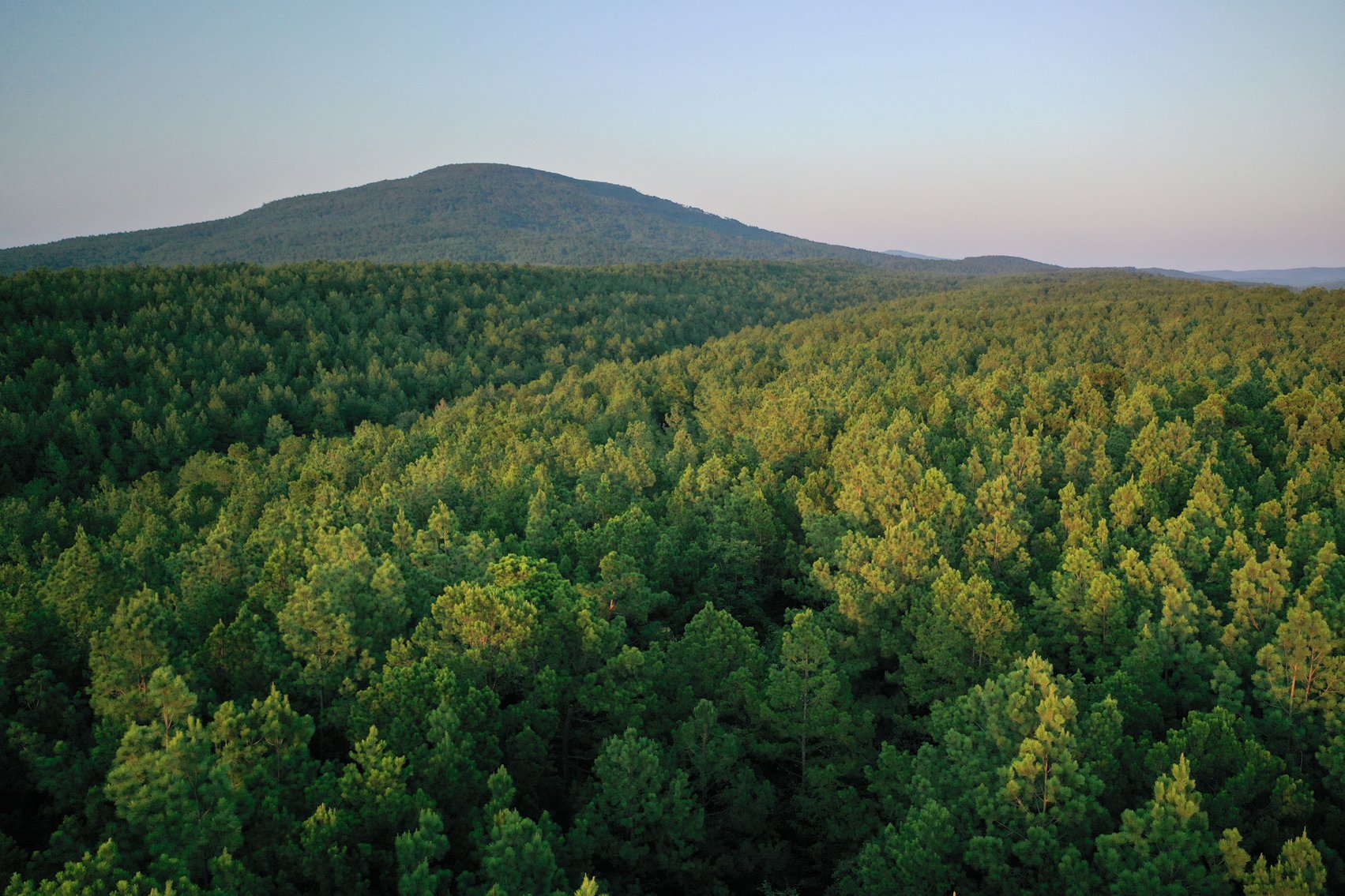Image for Mena Timber Land | 4,636 Acres Auction