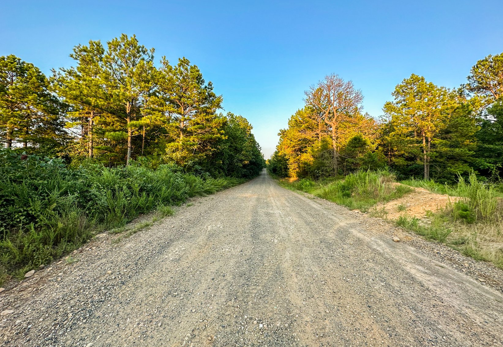 Image for Mena Timber Land | 4,636 Acres Auction