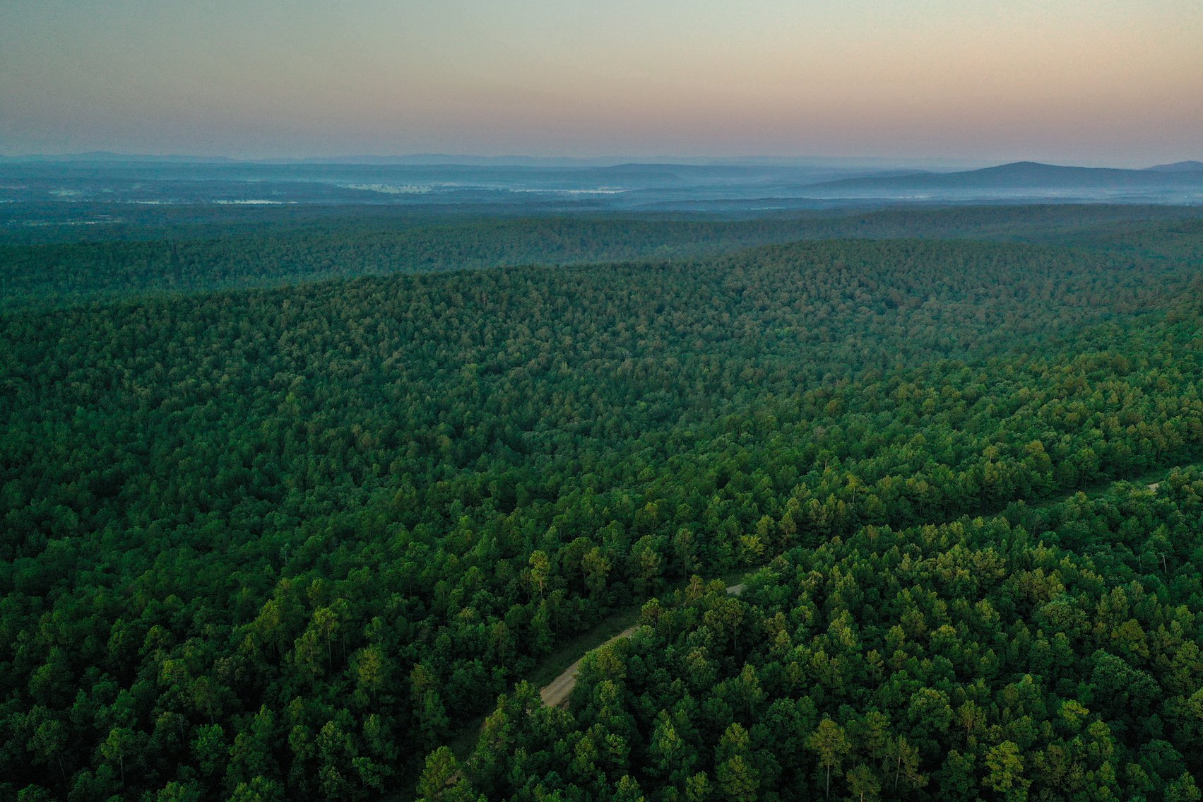 Image for Mena Timber Land | 4,636 Acres Auction