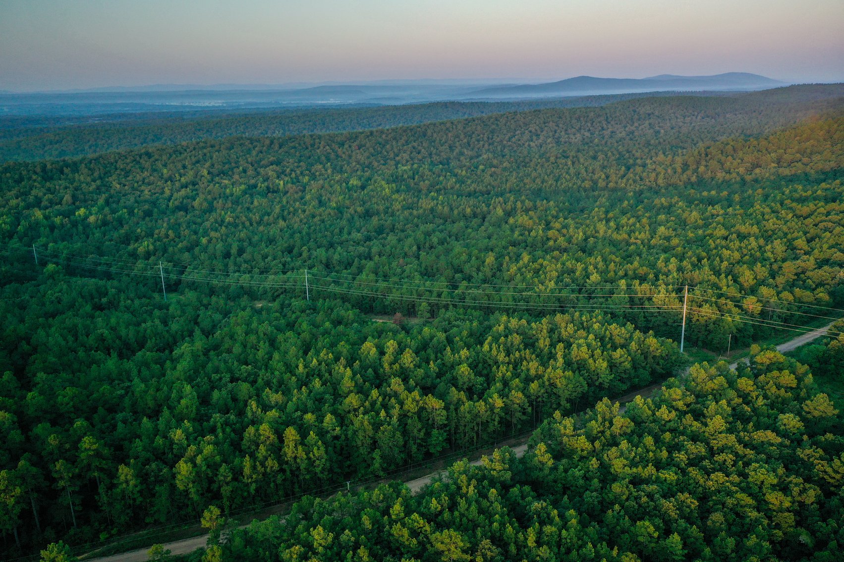 Image for Mena Timber Land | 4,636 Acres Auction