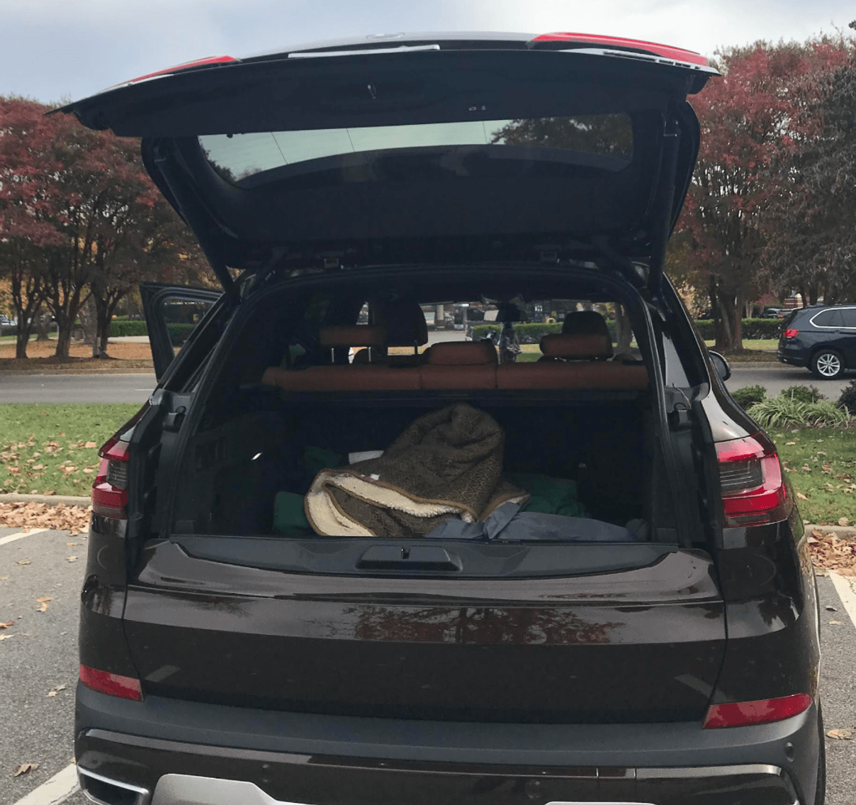 Image for 2019 BMW X5