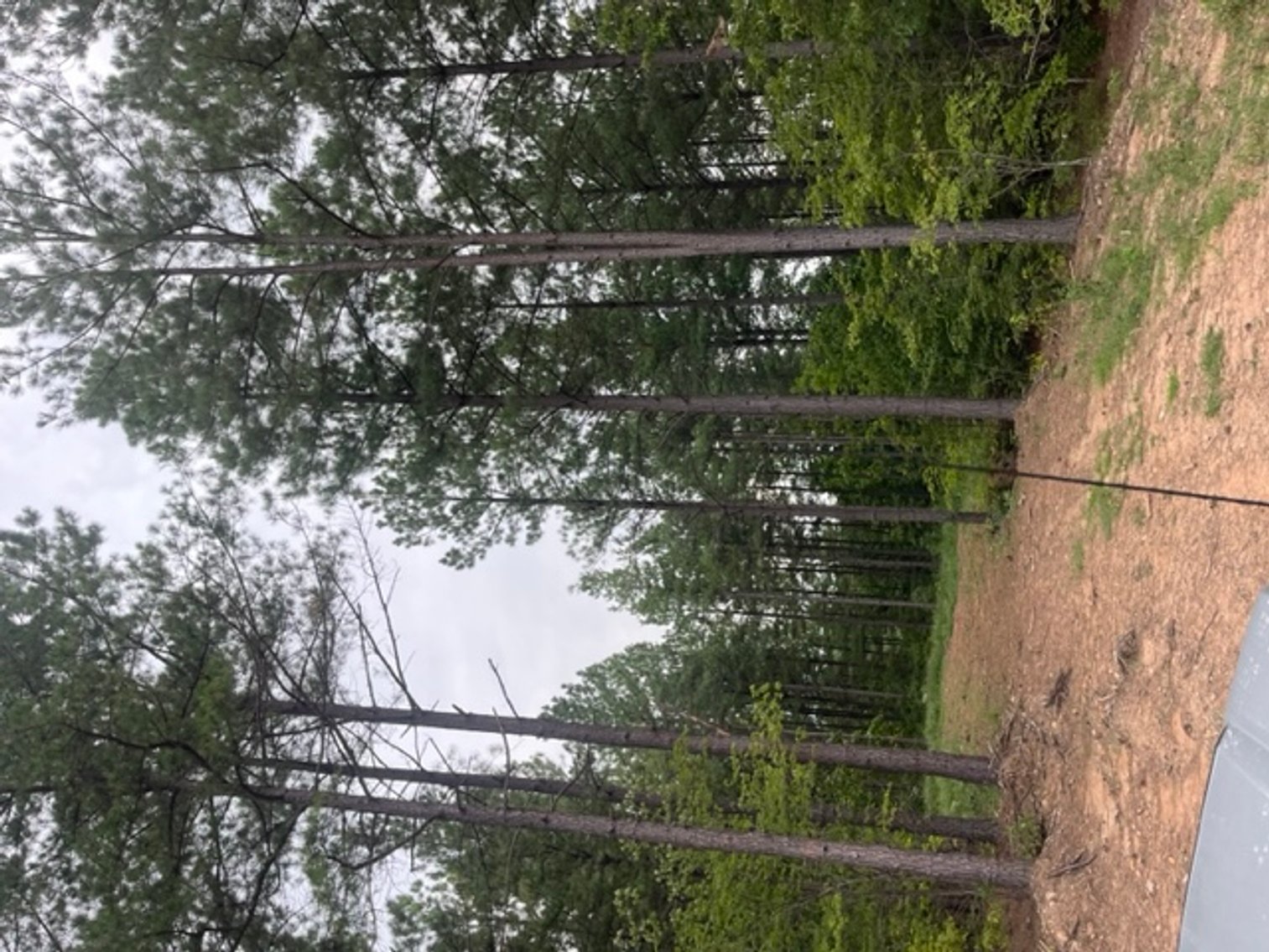 Image for Pittsylvania VA - 9.32 AC - 3 Buildable Lots - 00 Harbor Dr. Hurt VA 24563