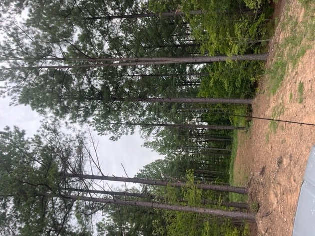 Image for Pittsylvania VA - 9.32 AC - 3 Buildable Lots - 00 Harbor Dr. Hurt VA 24563