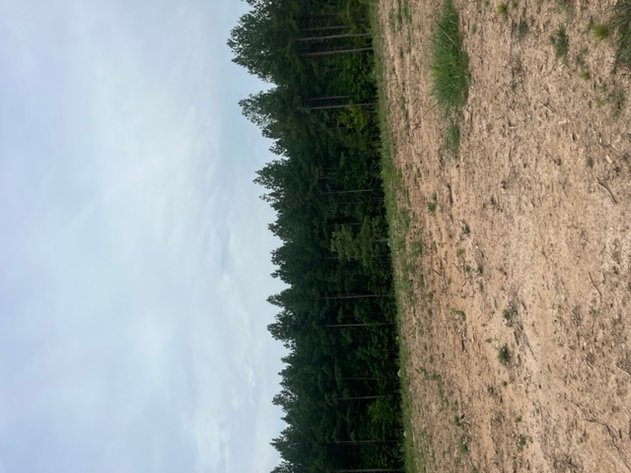 Image for Pittsylvania VA - 9.32 AC - 3 Buildable Lots - 00 Harbor Dr. Hurt VA 24563