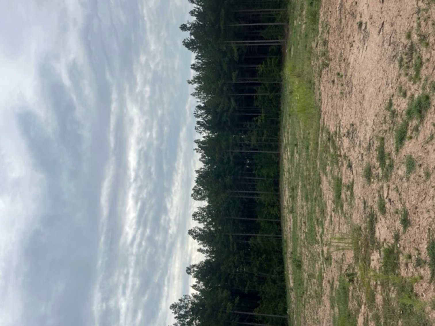 Image for Pittsylvania VA - 9.32 AC - 3 Buildable Lots - 00 Harbor Dr. Hurt VA 24563