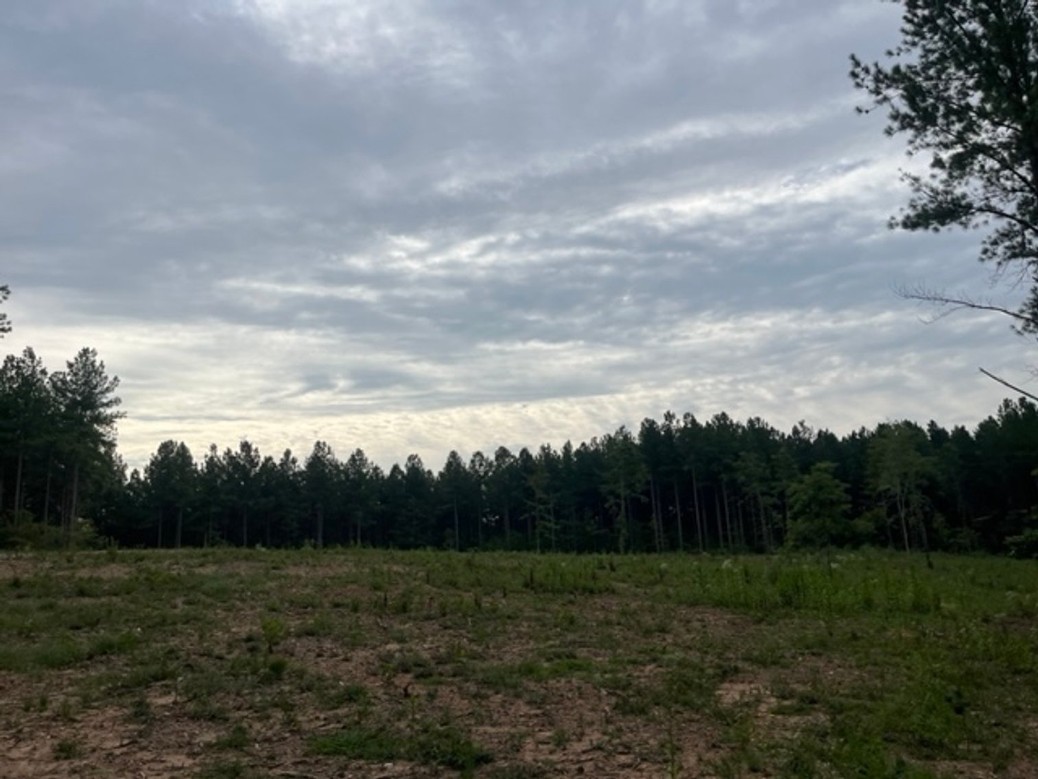 Image for Pittsylvania VA - 9.32 AC - 3 Buildable Lots - 00 Harbor Dr. Hurt VA 24563