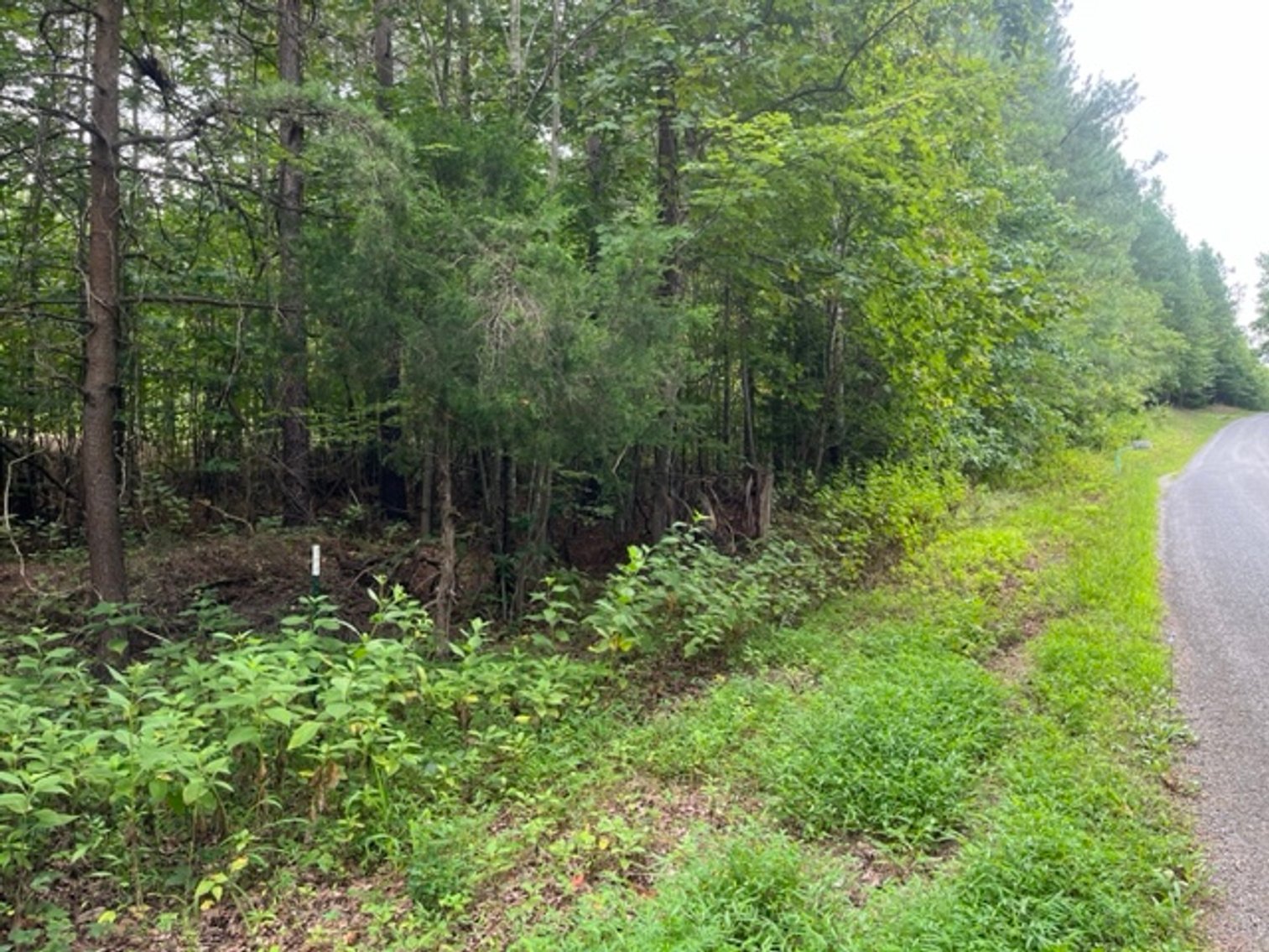 Image for Pittsylvania VA - 9.32 AC - 3 Buildable Lots - 00 Harbor Dr. Hurt VA 24563