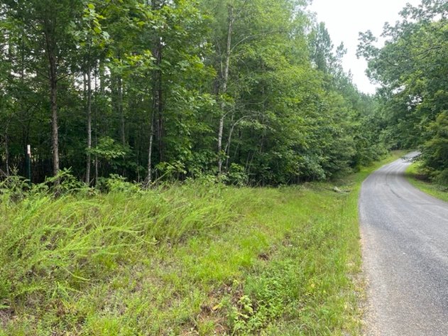 Image for Pittsylvania VA - 9.32 AC - 3 Buildable Lots - 00 Harbor Dr. Hurt VA 24563