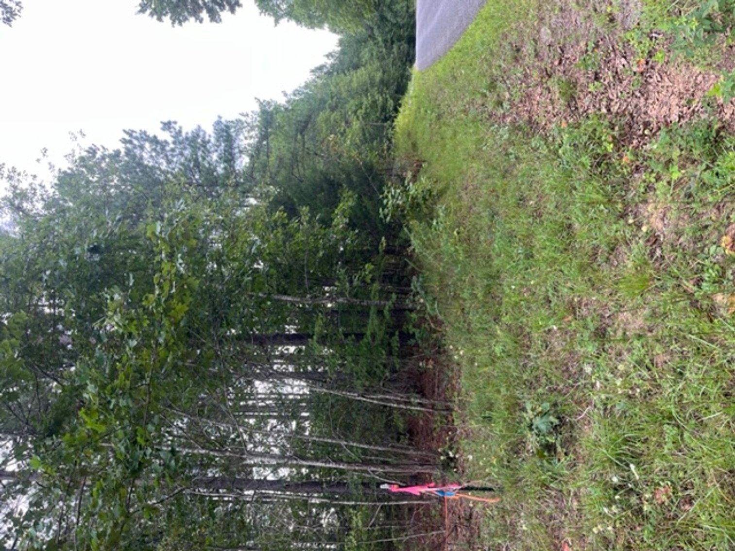 Image for Pittsylvania VA - 9.32 AC - 3 Buildable Lots - 00 Harbor Dr. Hurt VA 24563