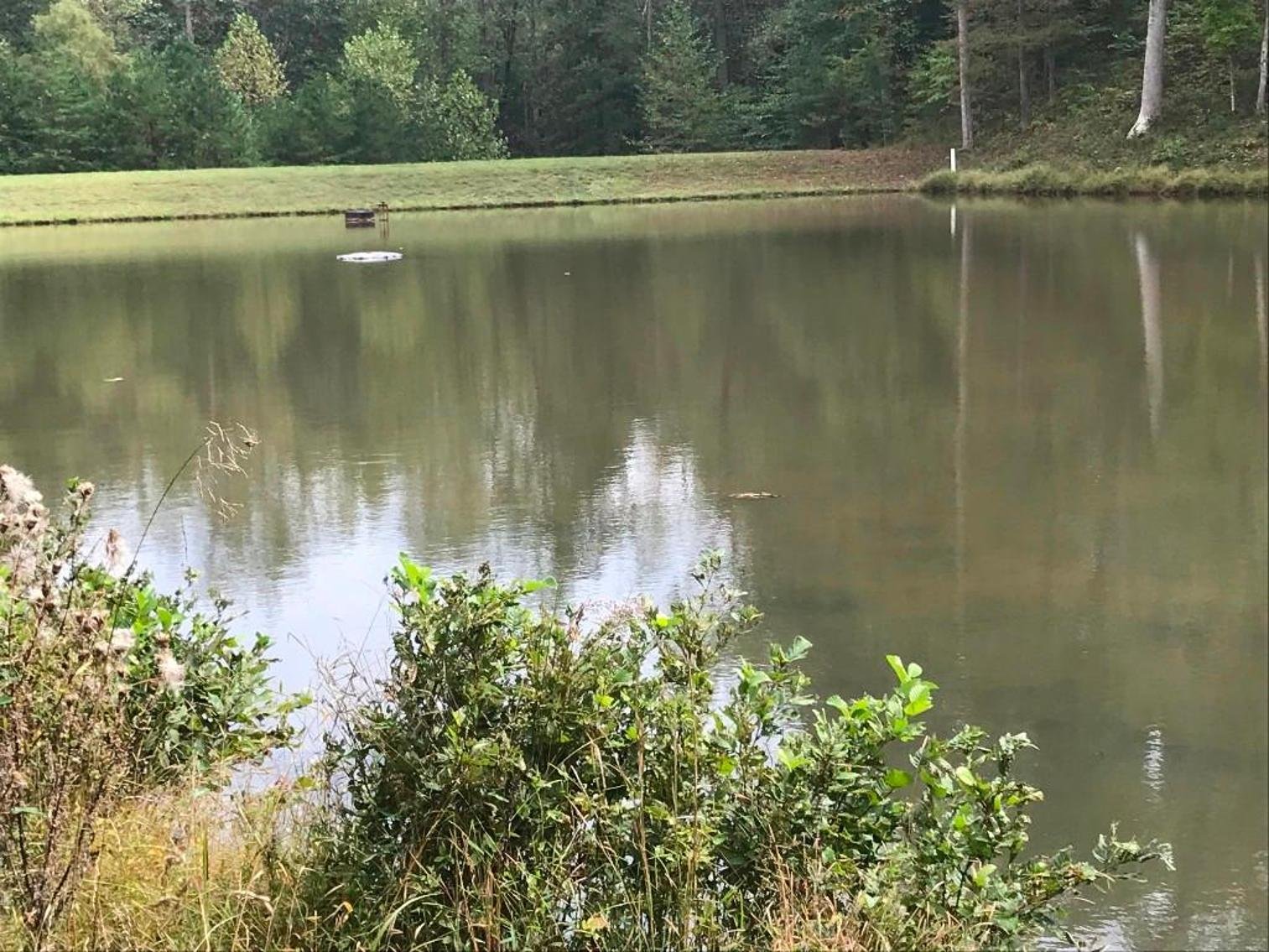 Image for Leesville Lakefront Community - 1.69 AC Prime Interior Lot with Pond Frontage - Runaway Bay, Altavista VA