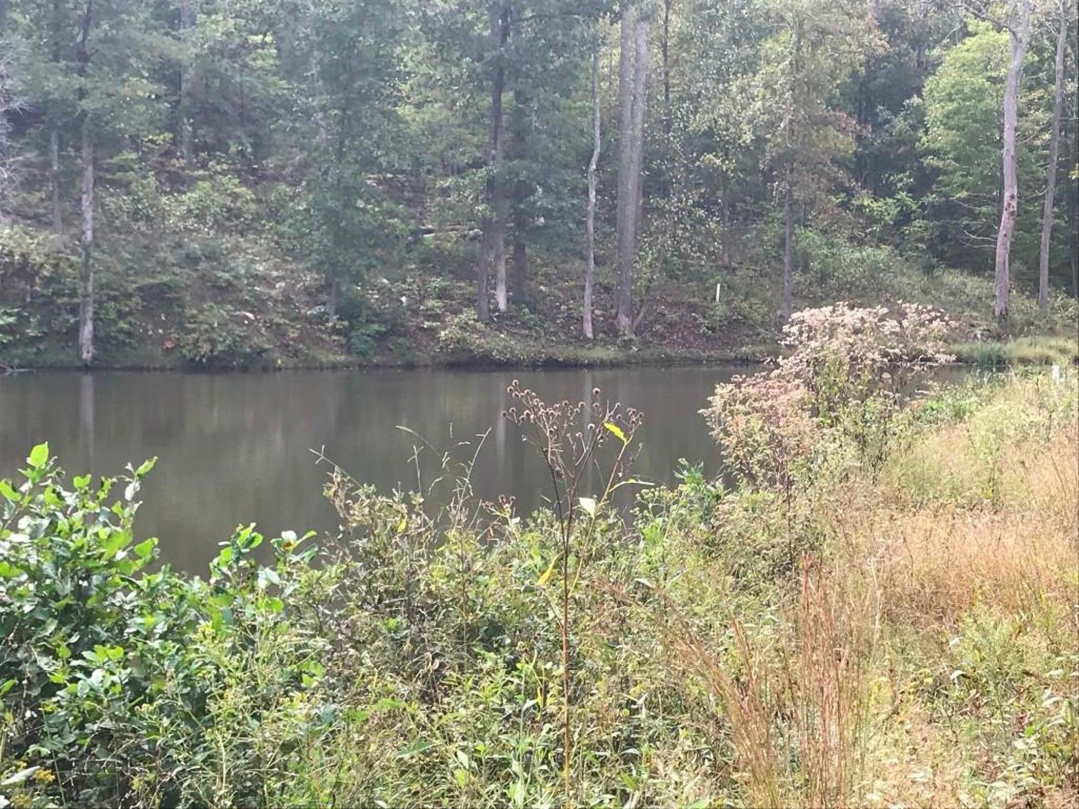 Image for Leesville Lakefront Community - 1.69 AC Prime Interior Lot with Pond Frontage - Runaway Bay, Altavista VA