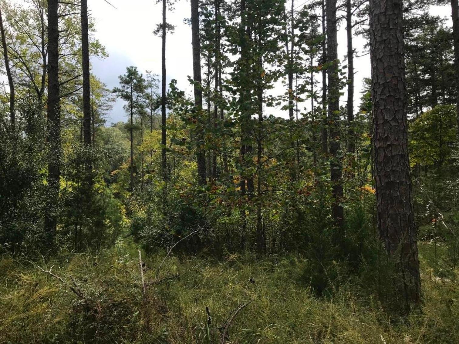 Image for Leesville Lakefront Community - 1.69 AC Prime Interior Lot with Pond Frontage - Runaway Bay, Altavista VA