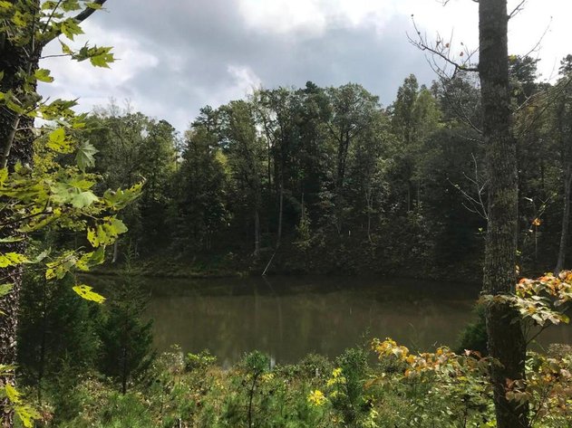 Image for Leesville Lakefront Community - 1.69 AC Prime Interior Lot with Pond Frontage - Runaway Bay, Altavista VA