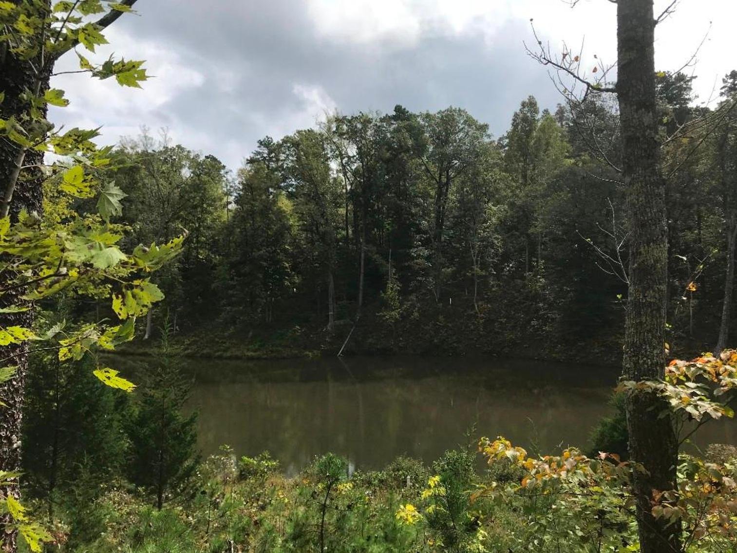 Image for Leesville Lakefront Community - 1.69 AC Prime Interior Lot with Pond Frontage - Runaway Bay, Altavista VA