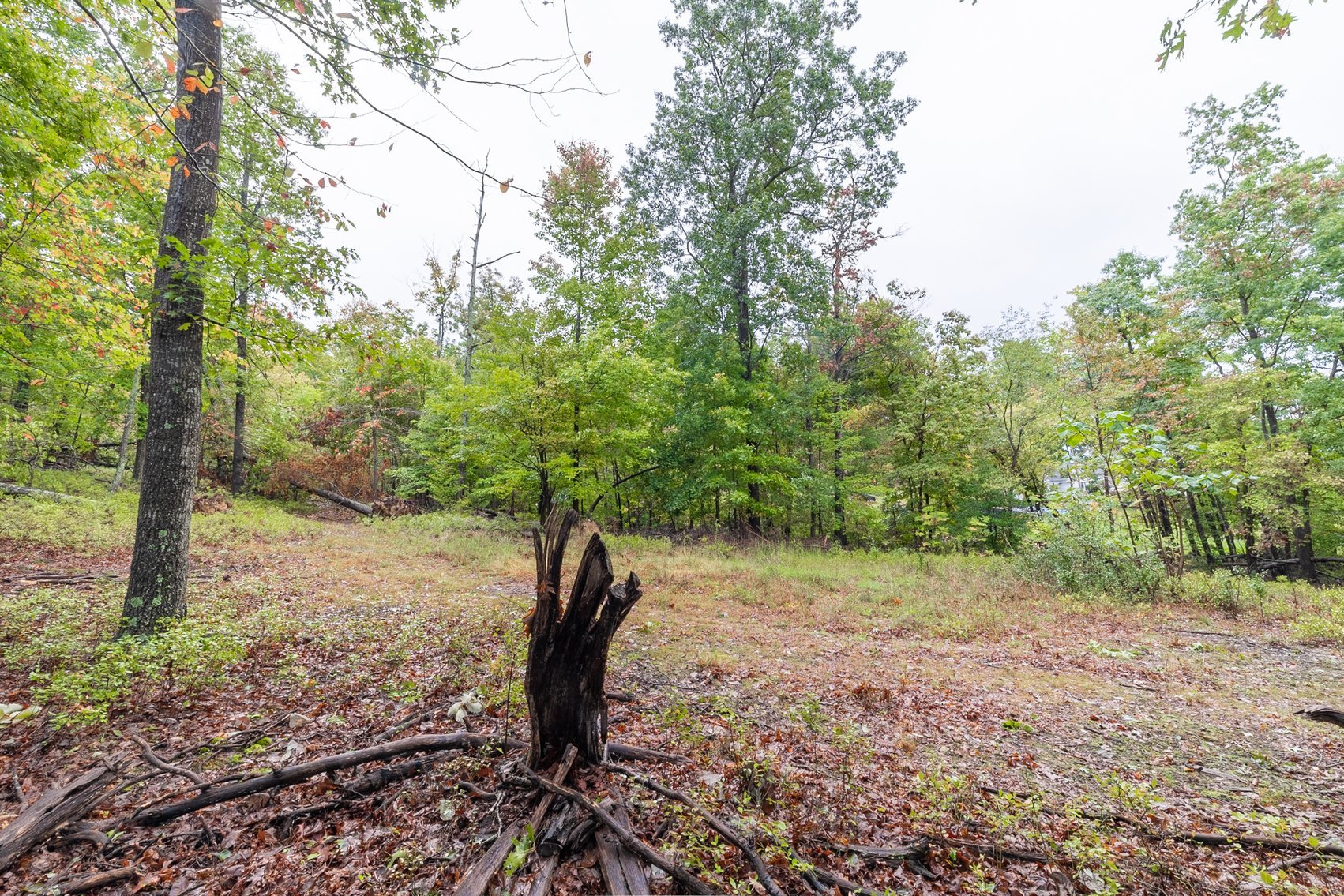 Image for 60 Lot Development Parcel 28 miles from Charlottesville, VA - May Ave