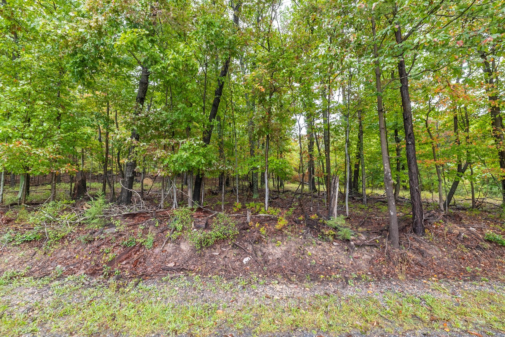 Image for 60 Lot Development Parcel 28 miles from Charlottesville, VA - May Ave