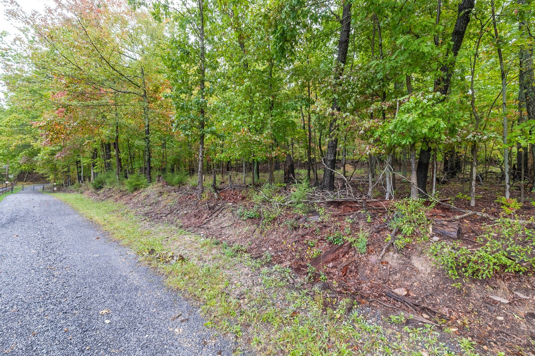 Image for 60 Lot Development Parcel 28 miles from Charlottesville, VA - May Ave