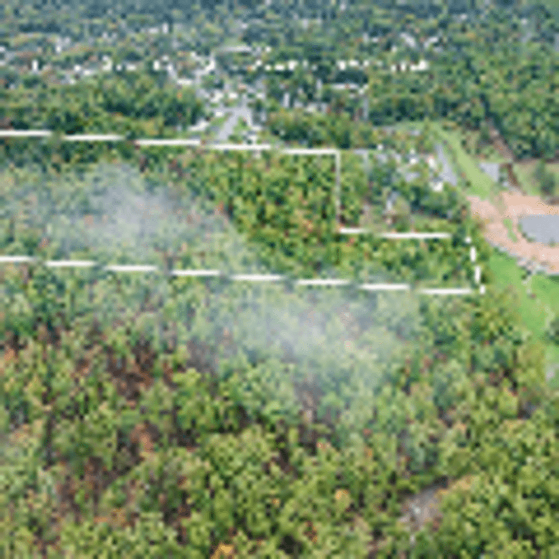 Image for 60 Lot Development Parcel 28 miles from Charlottesville, VA - May Ave