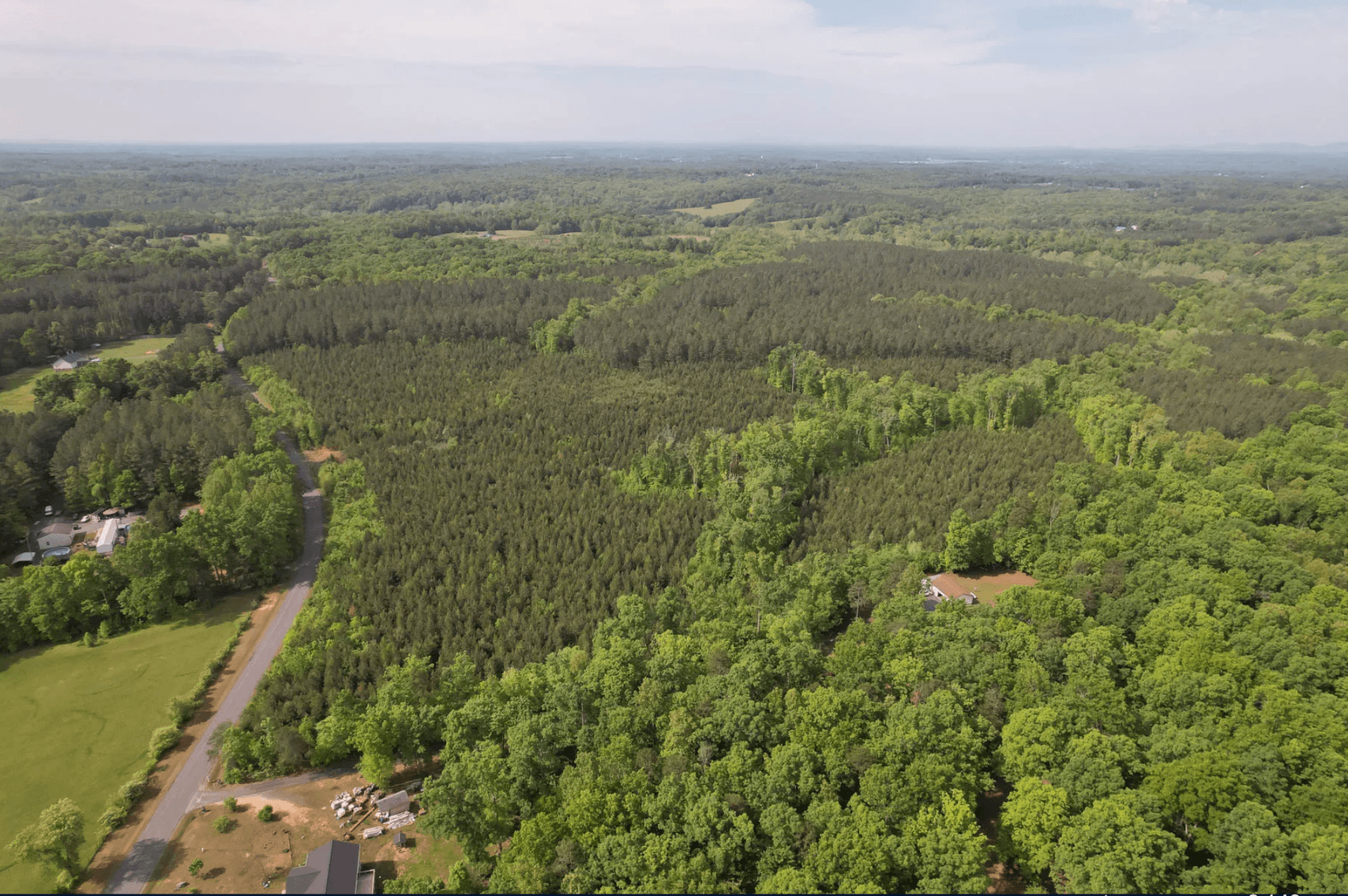 Image for 187+/- Acre Timber Investment Property in Albemarle County offered in 4 Parcels with 20 Division Rights