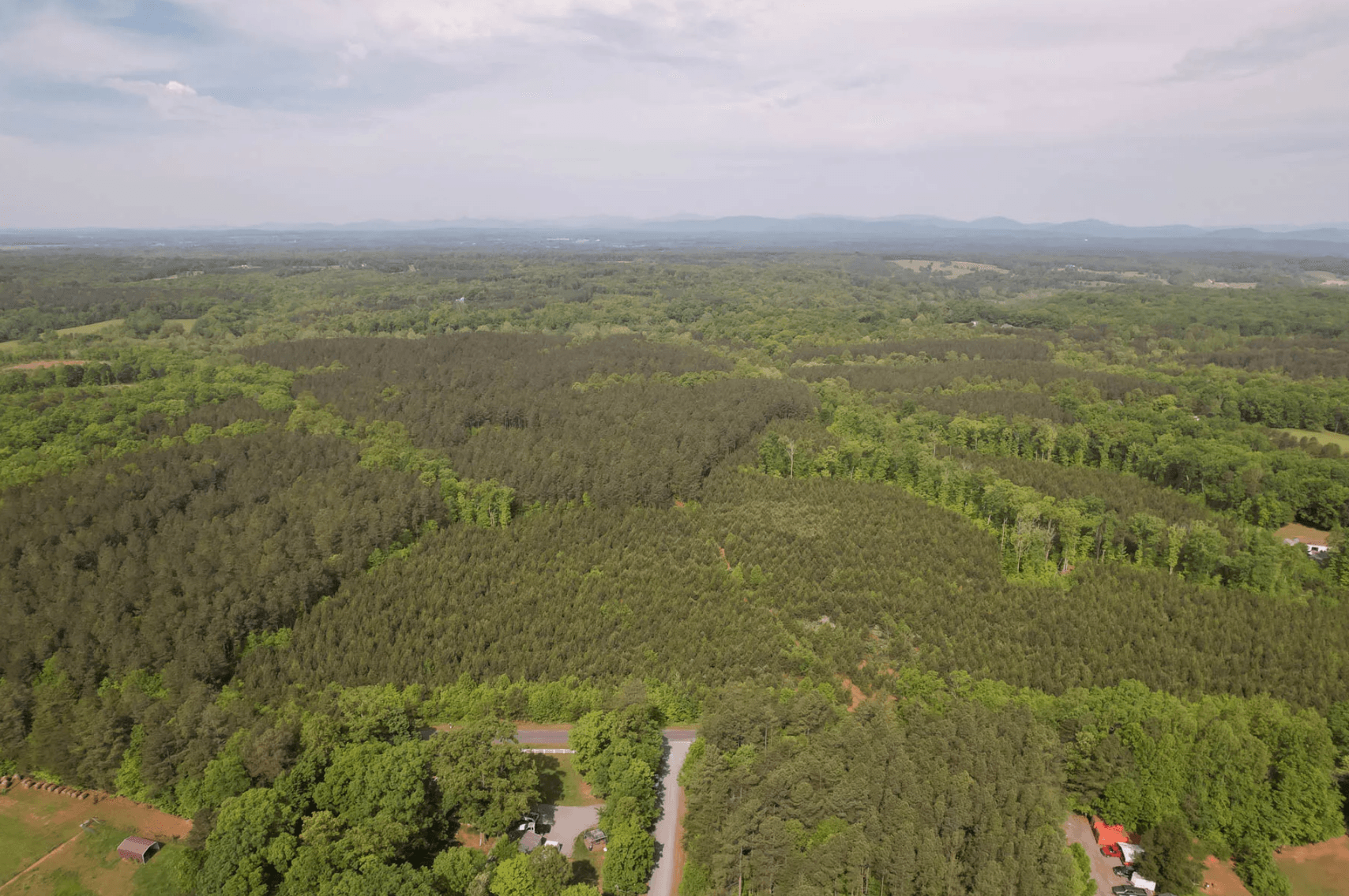 Image for 187+/- Acre Timber Investment Property in Albemarle County offered in 4 Parcels with 20 Division Rights