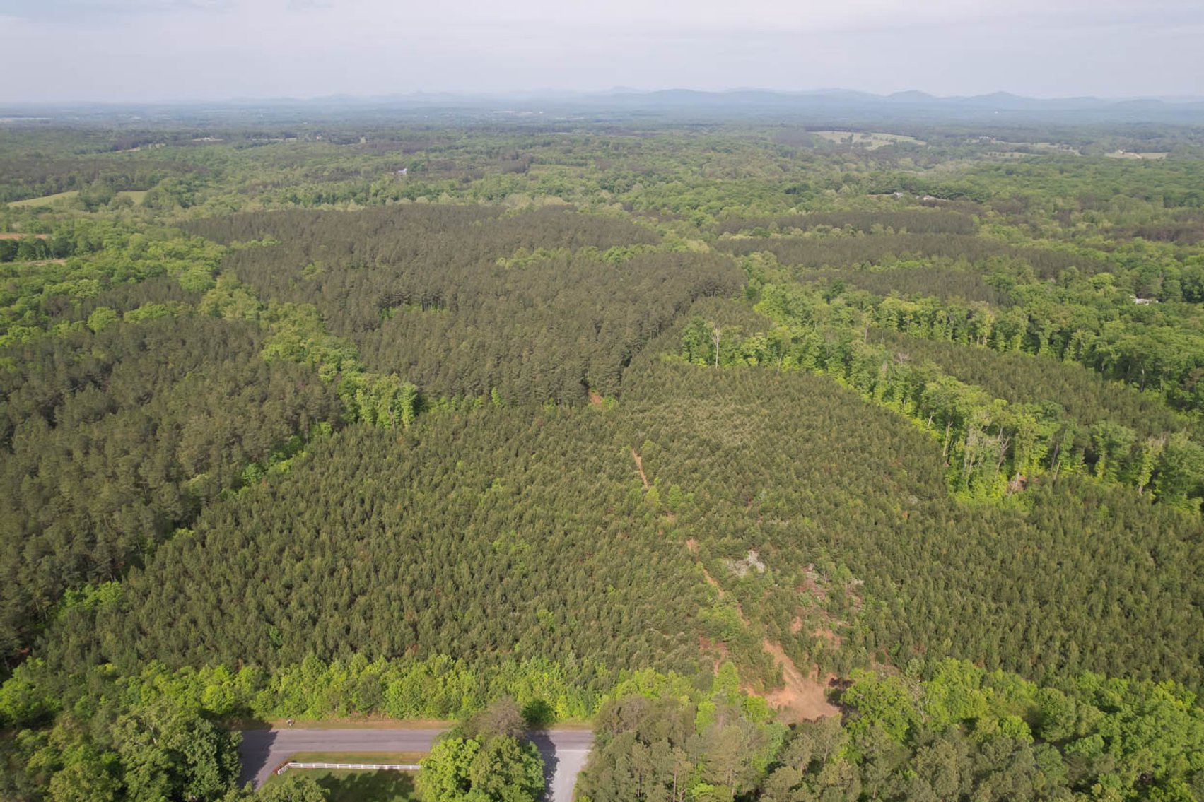 Image for 187+/- Acre Timber Investment Property in Albemarle County offered in 4 Parcels with 20 Division Rights