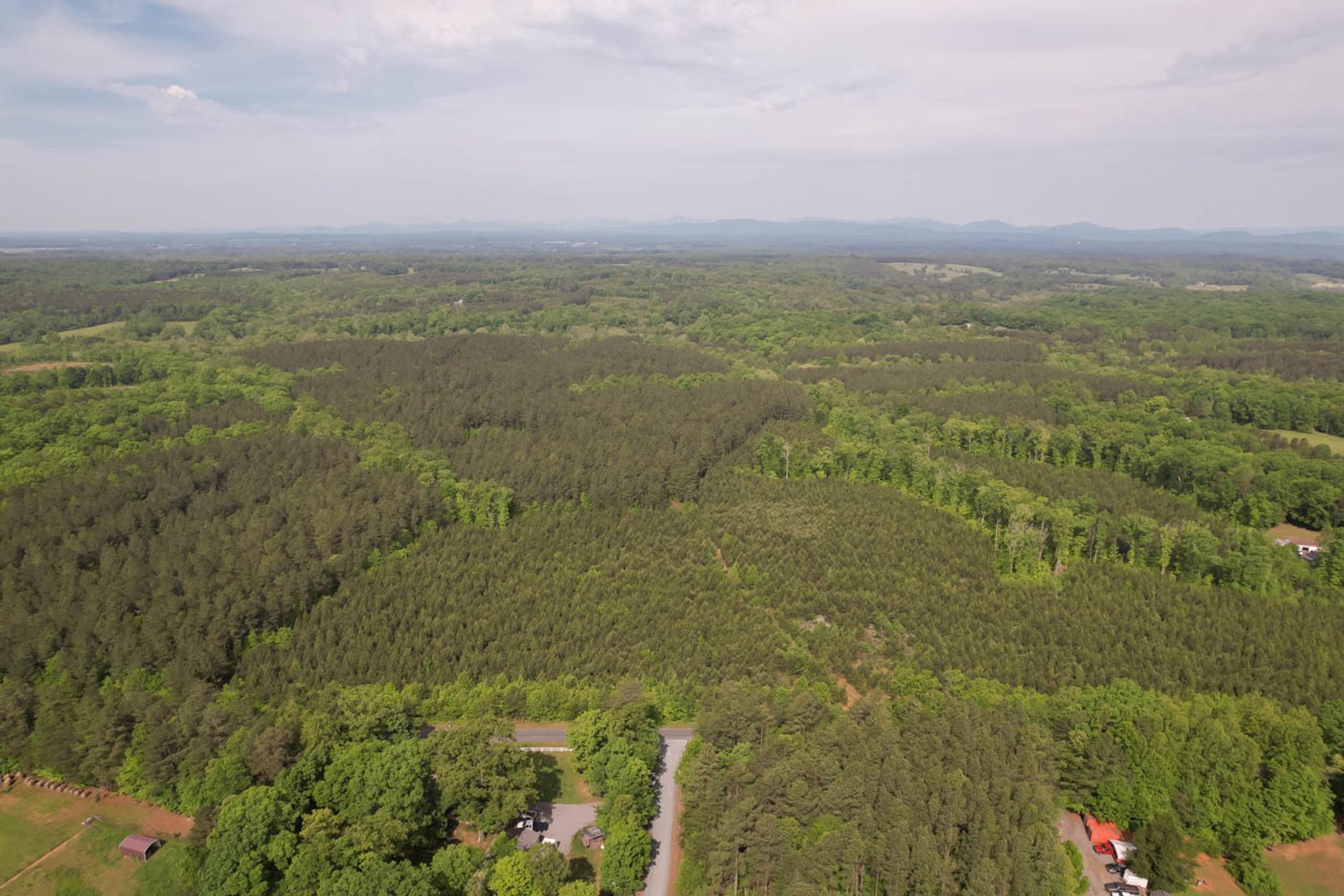Image for 187+/- Acre Timber Investment Property in Albemarle County offered in 4 Parcels with 20 Division Rights