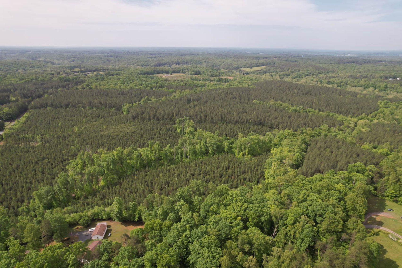 Image for 187+/- Acre Timber Investment Property in Albemarle County offered in 4 Parcels with 20 Division Rights