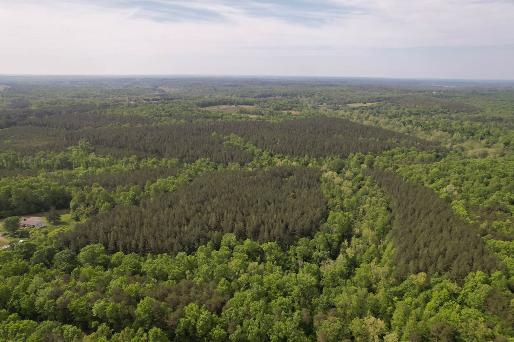 Image for 187+/- Acre Timber Investment Property in Albemarle County offered in 4 Parcels with 20 Division Rights