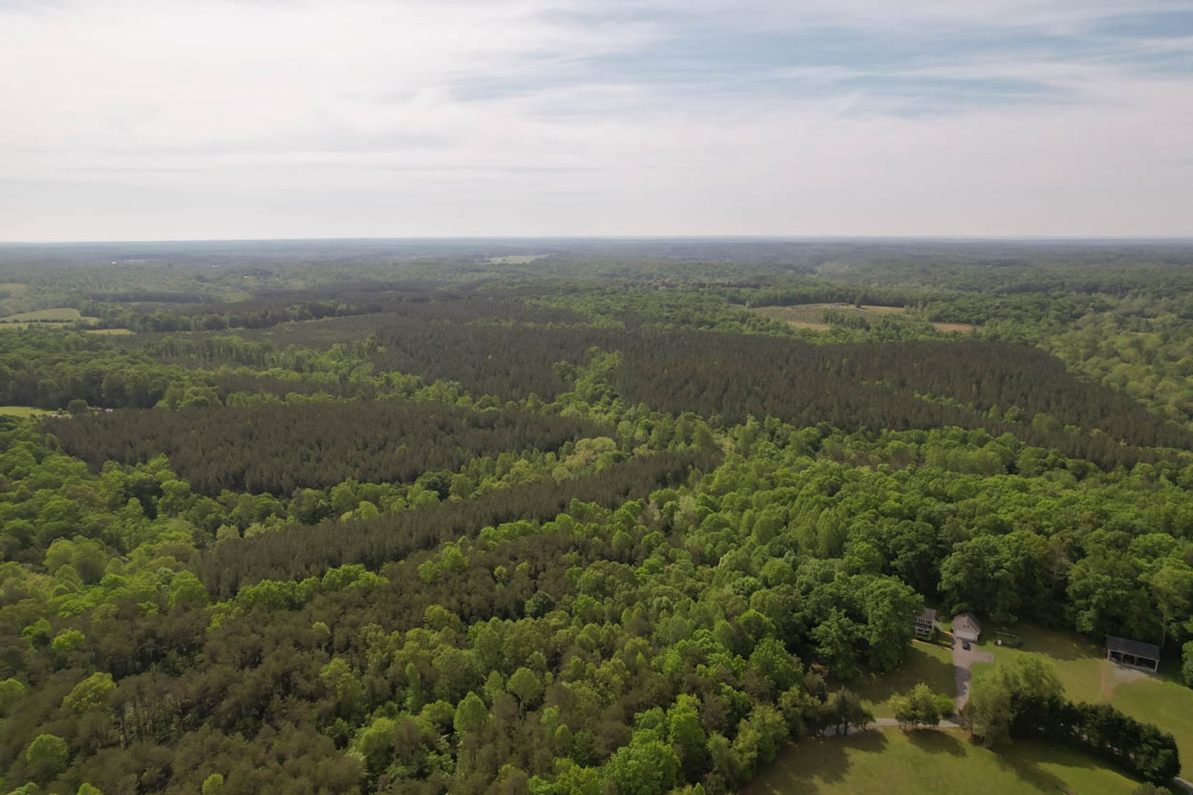 Image for 187+/- Acre Timber Investment Property in Albemarle County offered in 4 Parcels with 20 Division Rights