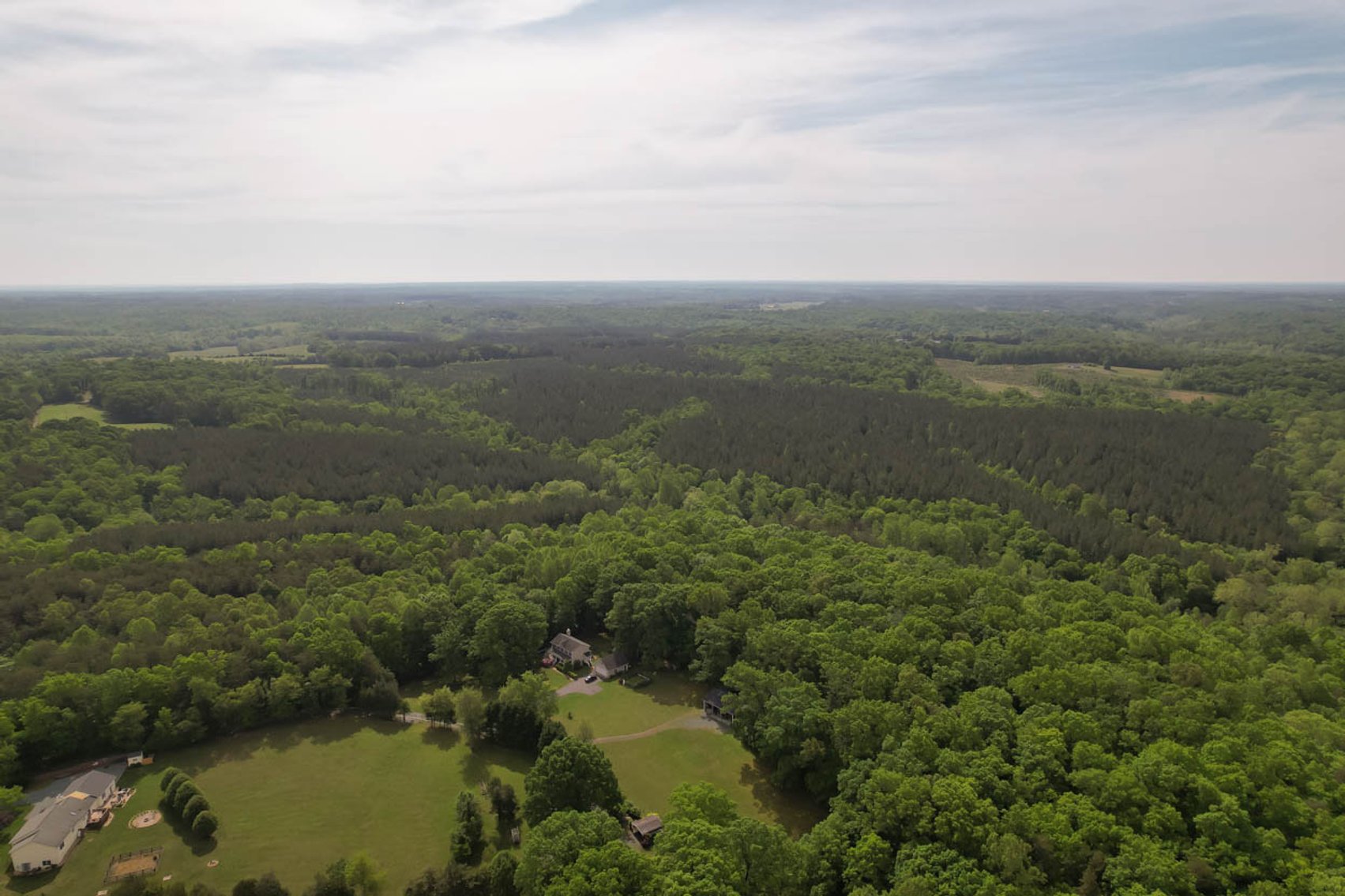 Image for 187+/- Acre Timber Investment Property in Albemarle County offered in 4 Parcels with 20 Division Rights