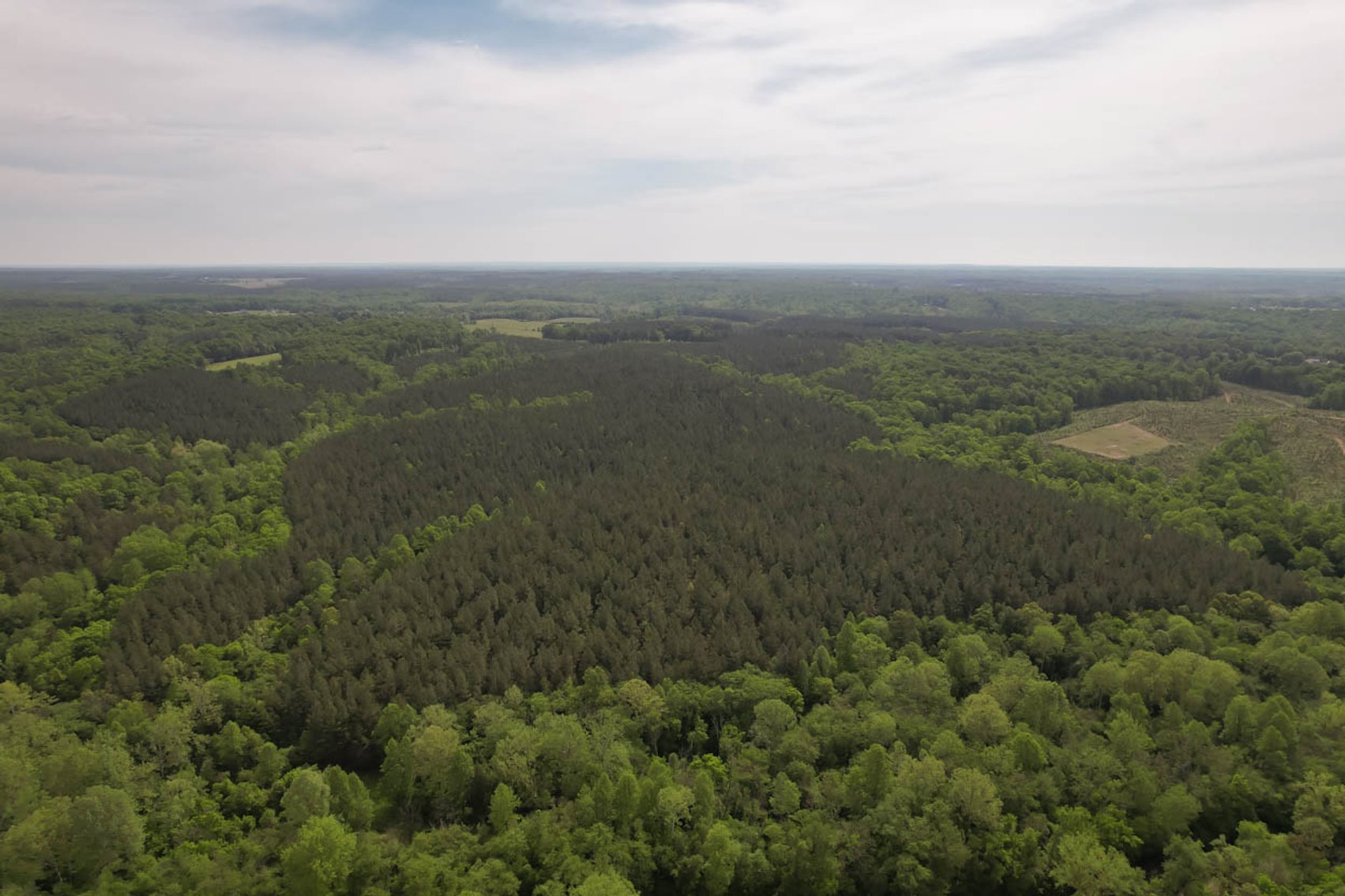 Image for 187+/- Acre Timber Investment Property in Albemarle County offered in 4 Parcels with 20 Division Rights