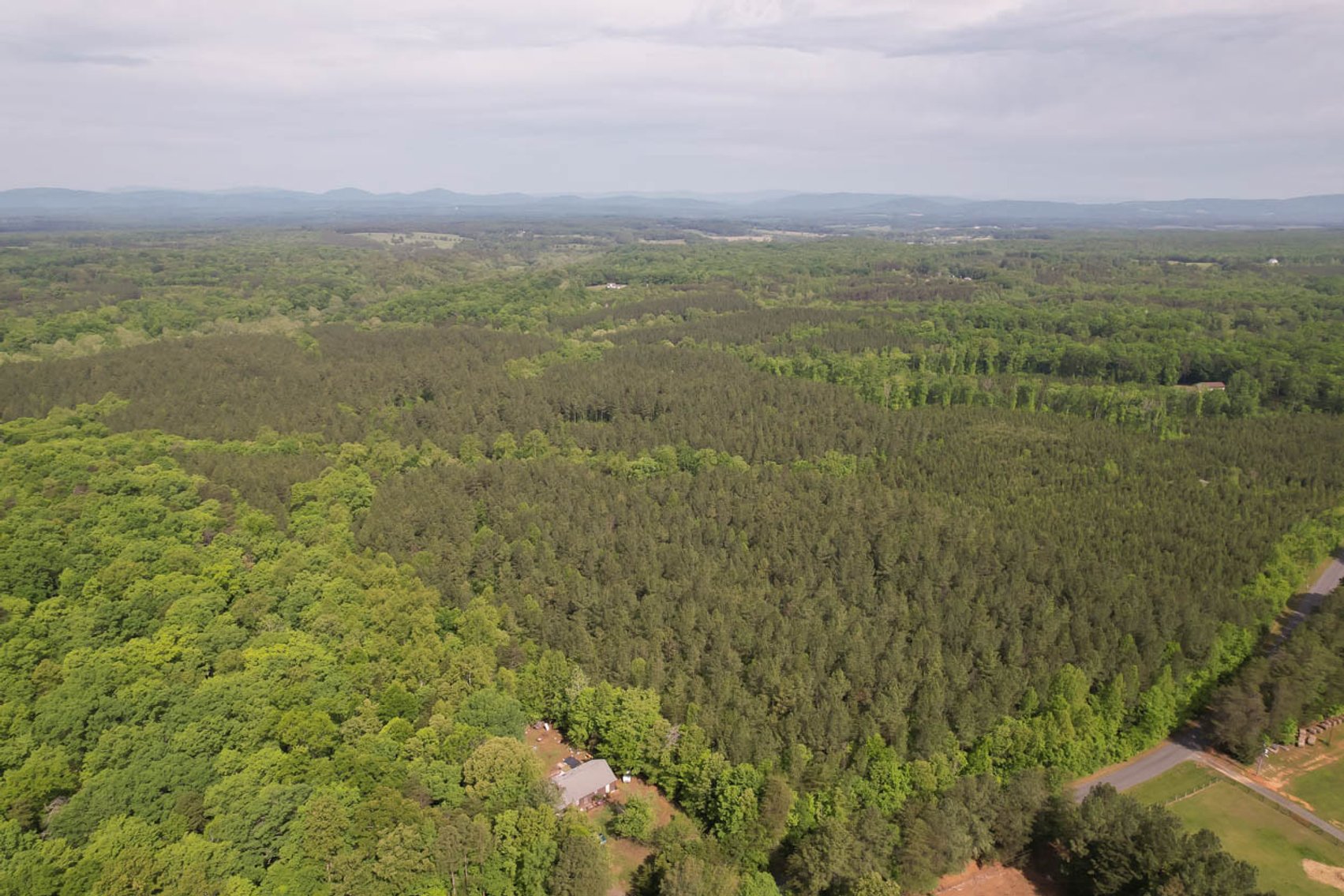 Image for 187+/- Acre Timber Investment Property in Albemarle County offered in 4 Parcels with 20 Division Rights