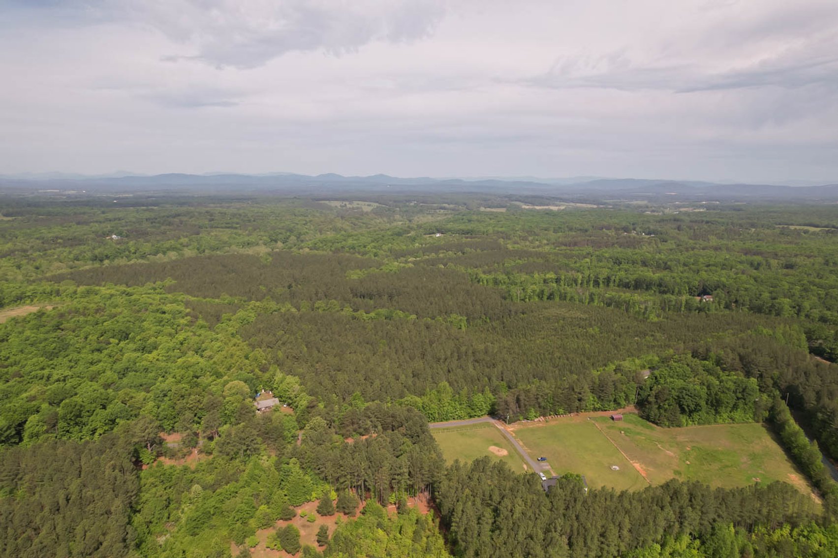 Image for 187+/- Acre Timber Investment Property in Albemarle County offered in 4 Parcels with 20 Division Rights