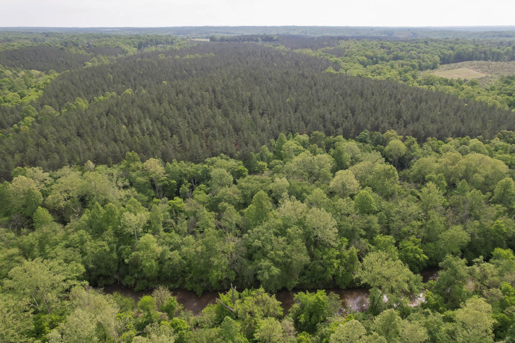 Image for 187+/- Acre Timber Investment Property in Albemarle County offered in 4 Parcels with 20 Division Rights