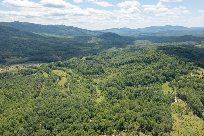 Image for BREATHTAKING MOUNTAIN VIEWS: Blue Ridge Estate Auction - 158-Acre Farm & Building Lot - Amherst, VA